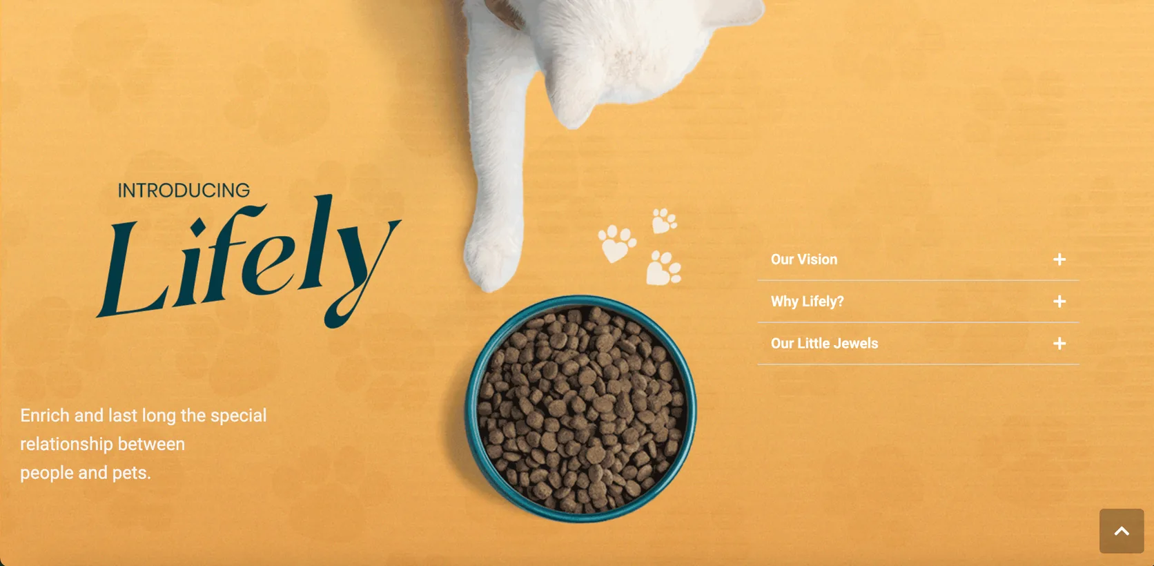 Lifely Pets Introducing Lifely section with an accordion for Our Vision, Why Lifely and Our Little Jewels