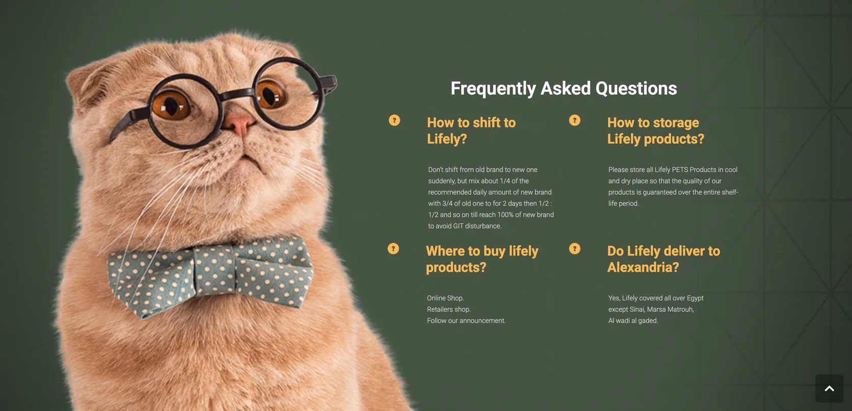 Lifely Pets FAQ section with a bow-tied cat and questions about shifting, storage, and delivery