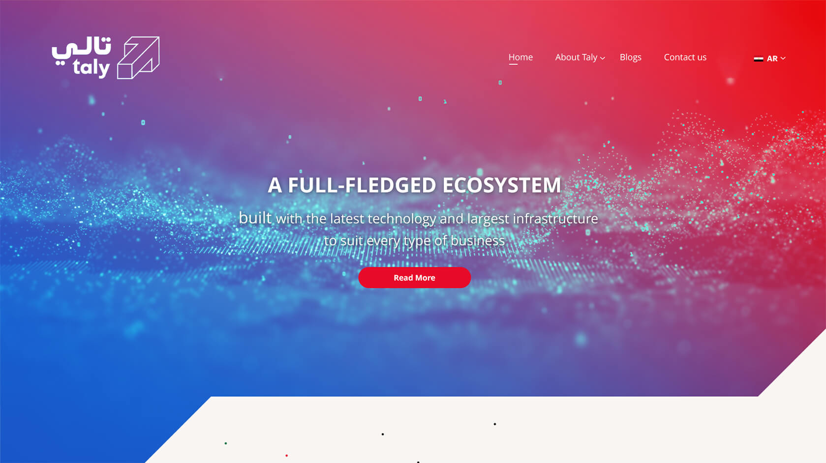 taly home page round 03 Project